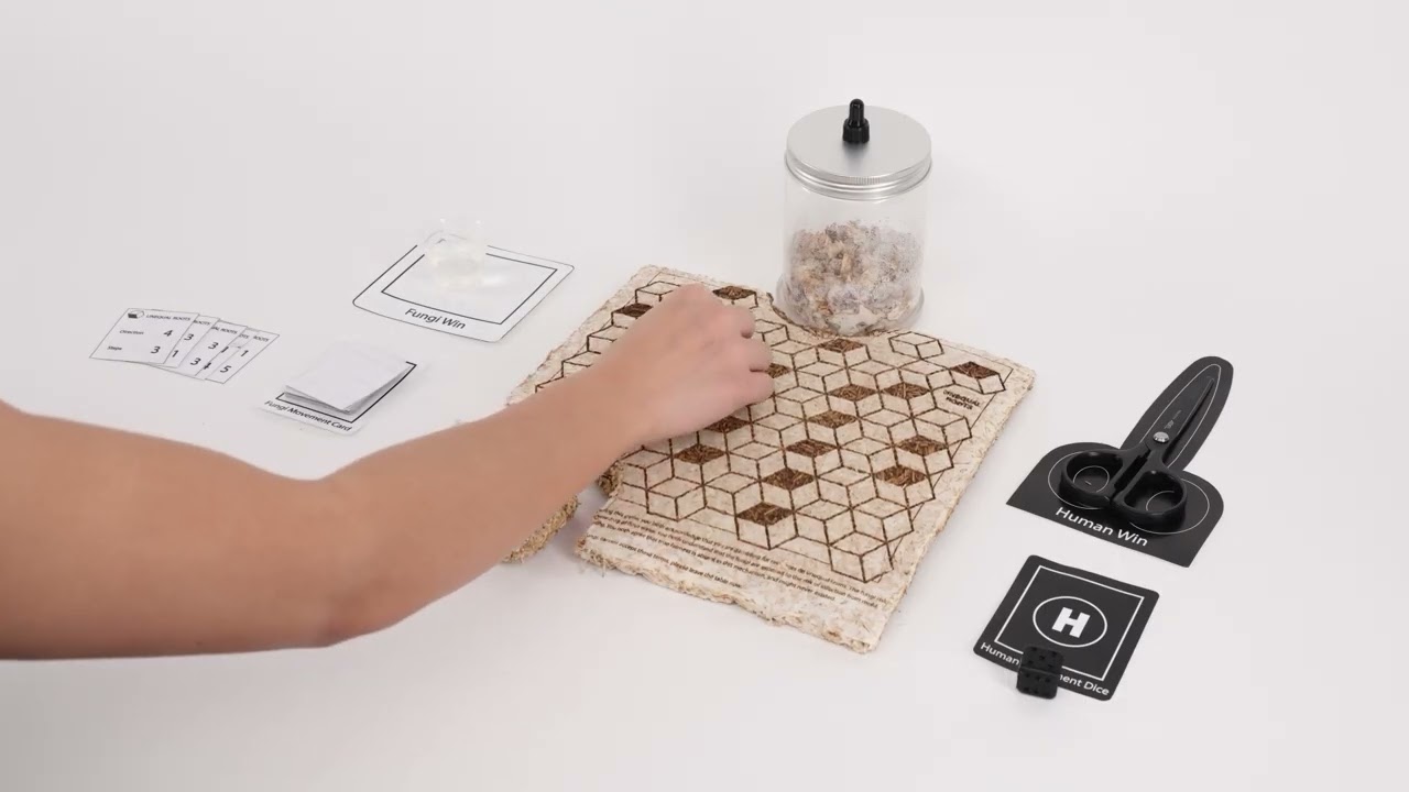 Unequal Roots [2025]