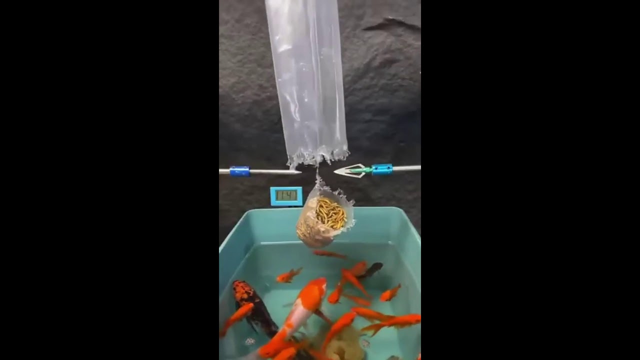 СТРИМ ШОРТС ИГРАЕМ