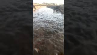 Tha wotar 🌊#youtube #shorts #relaxing