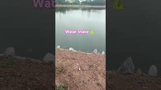 Water Snake
