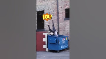 TRY NOT TO LAUGH 🤣 #46 | 2023 FUNNY FAILS COMPILATION #shorts #trynottolaugh #funny #fails