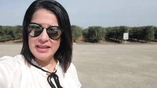 Picking up my Calivirgin Olive Oil today and leaving a positive Cali virgin olive oil review