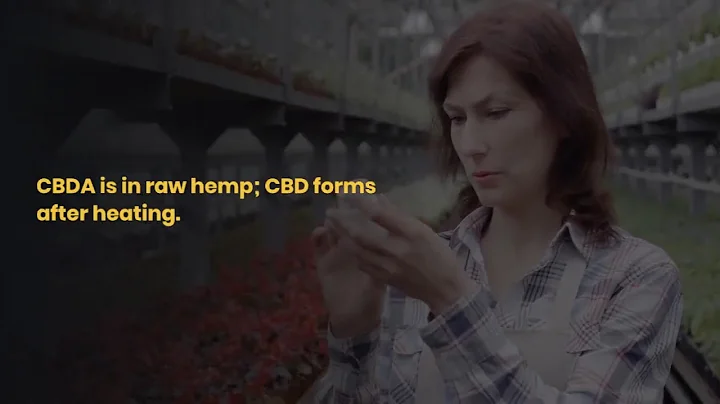 CBDA vs CBD: What’s the Difference?