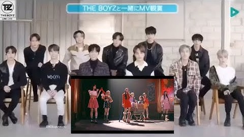 [request] The Boyz reaction to CLASS:y Zealous [fanmade]