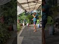 36 kg Hardstyle Kettlebell Snatch slow mo #snatch #hardstylekettlebellsnatch #36kgkettlebellsnatch
