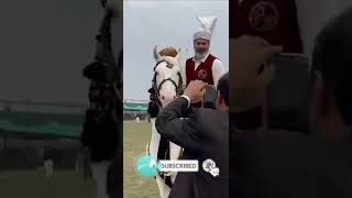 Ali Amin Gundapur  Imran Riaz Khan Horses short pegging nezabazi