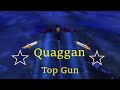 Quaggan top gun  guild wars 2