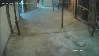 080820206 10AM