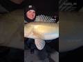 So kann man ins neue Jahr starten! #angeln #zander #zanderangeln #fishing #hechtangeln #barschangeln