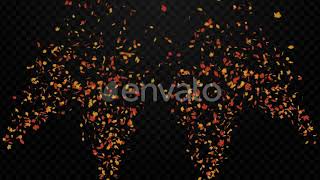Autumn Leaf Particle | Motion Graphics - Envato elements