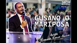 Apostol Reynaldo Franco Aquino  Gusano o Mariposa  Dom 5 de mayo