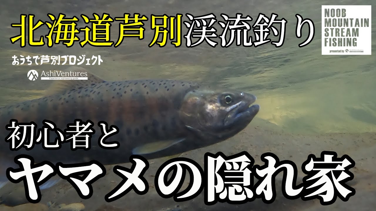 北海道 芦別初心者渓流釣り 初心者とヤマメの隠れ家 おうちで芦別プロジェクト Youtube