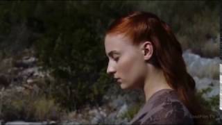 картинка: Санса и Петир & Strange Birds