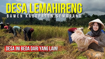 PROFIL DESA LEMAHIRENG BAWEN 2025 | DESA HIJAU MANDIRI DI LERENG GUNUNG UNGARAN