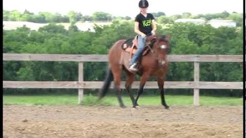 Valley View Ranch   - Instant Chili Chex -      ***For info, price, etc., go to our website***