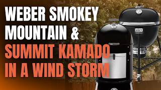 Weber Smokey Mountain & Summit Kamado In A Wind Storm - Which One Produced The Most Amazing Food?