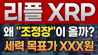 [리플] &quot;조정장&quot; 왜!! 오는 걸까..? 세력의 목표가 도대체 어디야...❓