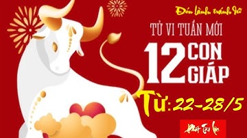 Tử Vi Tuần Mới 22-28/5/2023 – THẦN TÀI Gọi Tên 4 Con Giáp  Nhận Lộc Trời Ban Trúng Số Phát Tài | PTL