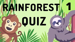 RAINFOREST Animal Quiz #1 | For Teachers and Kids | Teaching Resource | Timed Guessing Game