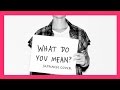 Justin Bieber - What Do You Mean?【Japanese Cover】
