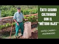 SISTEMA DE GOTEO CASERO con invernadero incorporado gratis y fácil  | COSECHA ASEGURADA