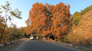 Kashmir-2022: Bhaderwah - Pahalgam Journey | Autumn Colors | Road Conditions