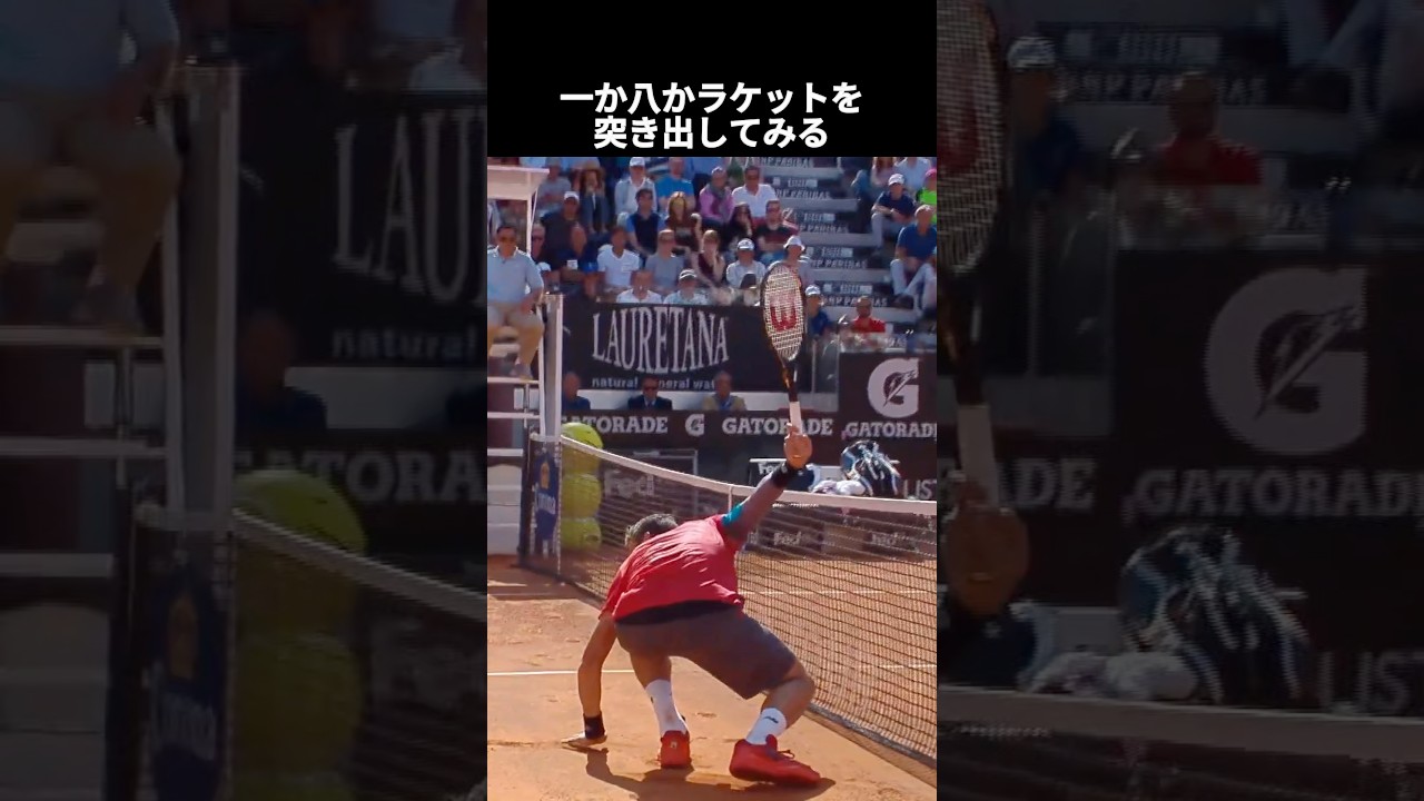 カナダの大砲 ミロシュ・ラオニッチ #テニス