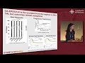 How should we treat double hit and double expressor DLBCL?