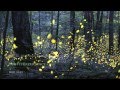 Tennessee Fireflies: Realtime Stock Footage