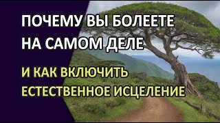 Почему вы болеете на самом деле и как включить естественное исцеление