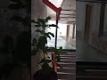 Rain love @ mln study vlogs # @ bengalore # tnpsc# motivation tamil # shorts feed# spb song tamil
