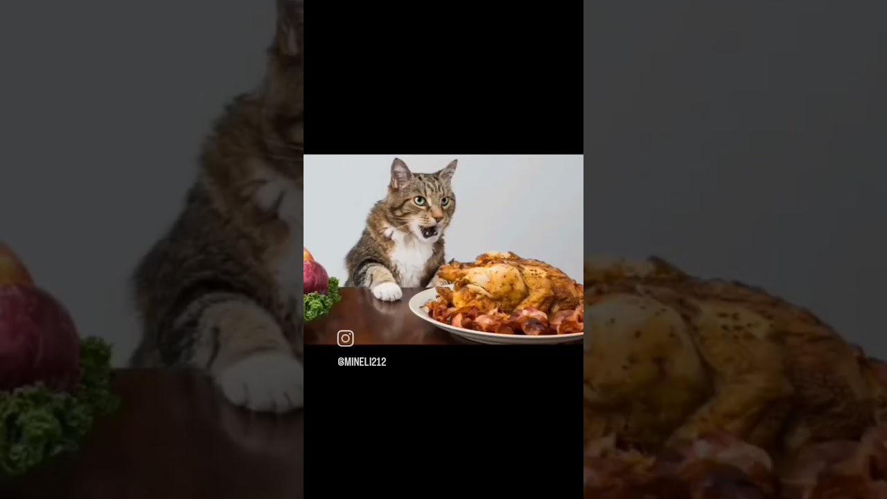 😎😉💞 Michi crudeo 💞😉😎 dejá tu 👍🏻 suscríbete 