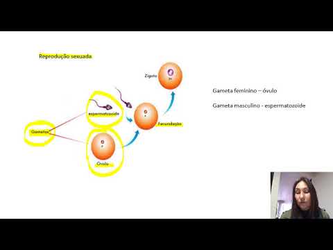 Vídeo: Recursos Genéticos Da Noz Do INRA: Dados Fenotípicos Cronológicos E Ontologia