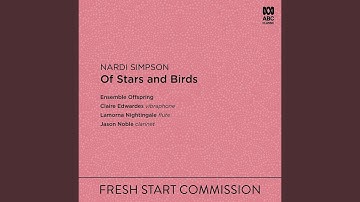 Of Stars and Birds