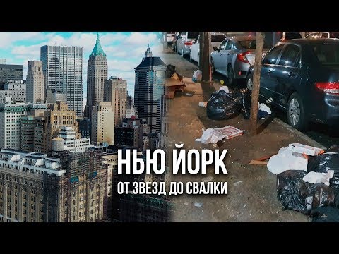 Видео: Сезон гриппа еще не закончился - Чикагские Pooches попали в эпидемию «Птичий грипп»