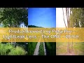 Produktbewertung PolarPro - LightLeak Lens - The ONE - 28mm - f11 - Kameraobjektiv - Einstellbarer L