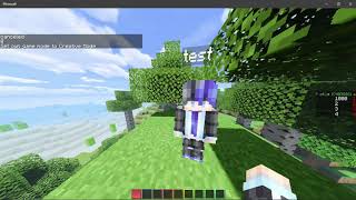 Test Plugin NPCForm | Pocketmine - Altay 1.16.x screenshot 5