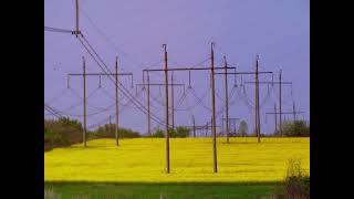 High-voltage powerline landscapes. ЛЭП [episode 8]