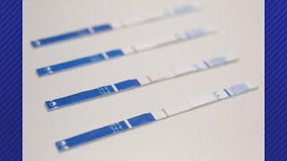 Texas House advances bill decriminalizing fentanyl test strips