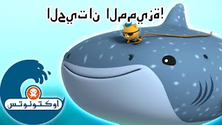 أوكتونوتس | الحيتان المميزة | رسوم متحركة للأطفال