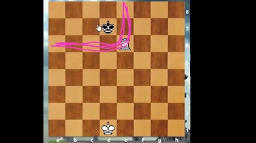 Beginners Lesson | Checkmate Patterns