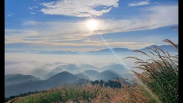 Hướng dẫn tạo mã QR cho tài liệu, cho đáp án trắc nghiệm trực tiếp trên Word  mà không cần lập trình