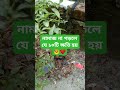 নামাজ না পড়লে যে ১০টি ক্ষতি হয় #viral #shortvideo #trending #motivation #islamic #motivation