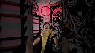 Te Quiero - Andean Sounds   #musica #nature #folklore #music #indigenous #cover #cultura #flute