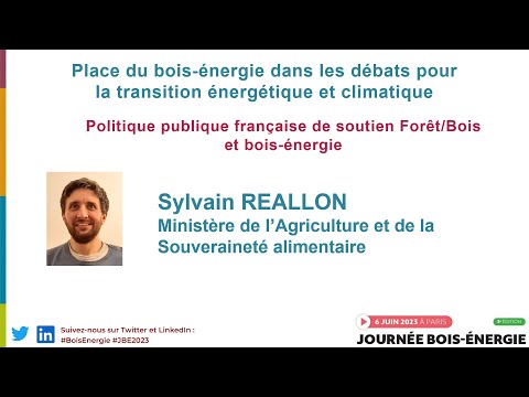 Politique publique française de soutien Forêt/Bois et bois-énergie par Sylvain REALLON (MASA)