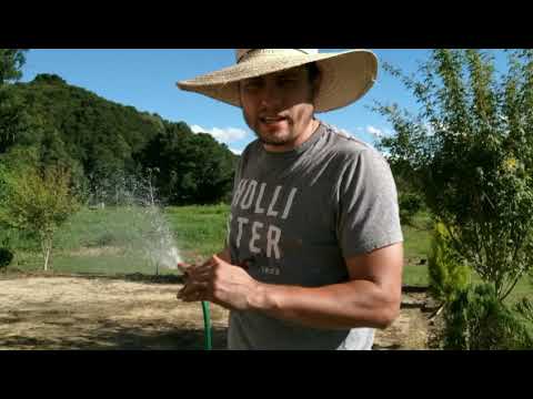 Vídeo: Cuidados com a grama bermuda - dicas sobre como cultivar grama bermuda