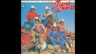 Los tigres Del norte Mix De Viejitas Norteñas