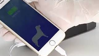 Buzztech Multifunction Car Jump Starter Battery Booster Power Bank 8500Mah Emergency Car Jumper