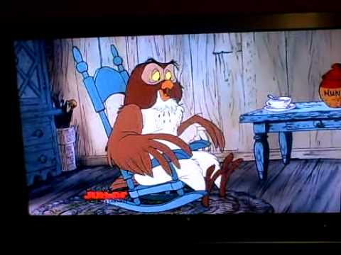 Mini Adventures Of Winnie The Pooh Owl S House