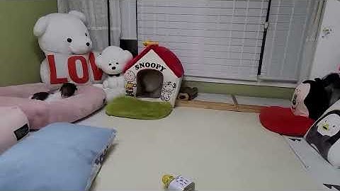 방귀뀐놈이 도망간다ㅋㅋㅋ